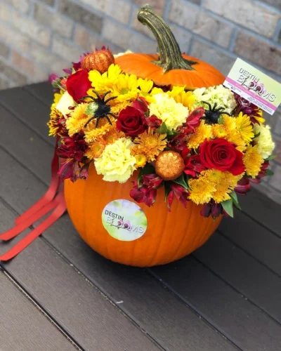 Blooming Pumpkin - in Destin, FL thumbnail 4
