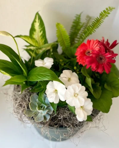 Botanical Garden - in Destin, FL thumbnail 4